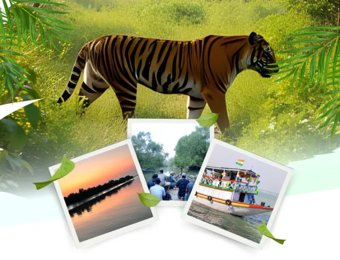 sundarban 2 nights 3 days tour package